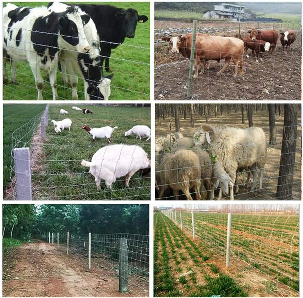 Galvanized Garden Fencing