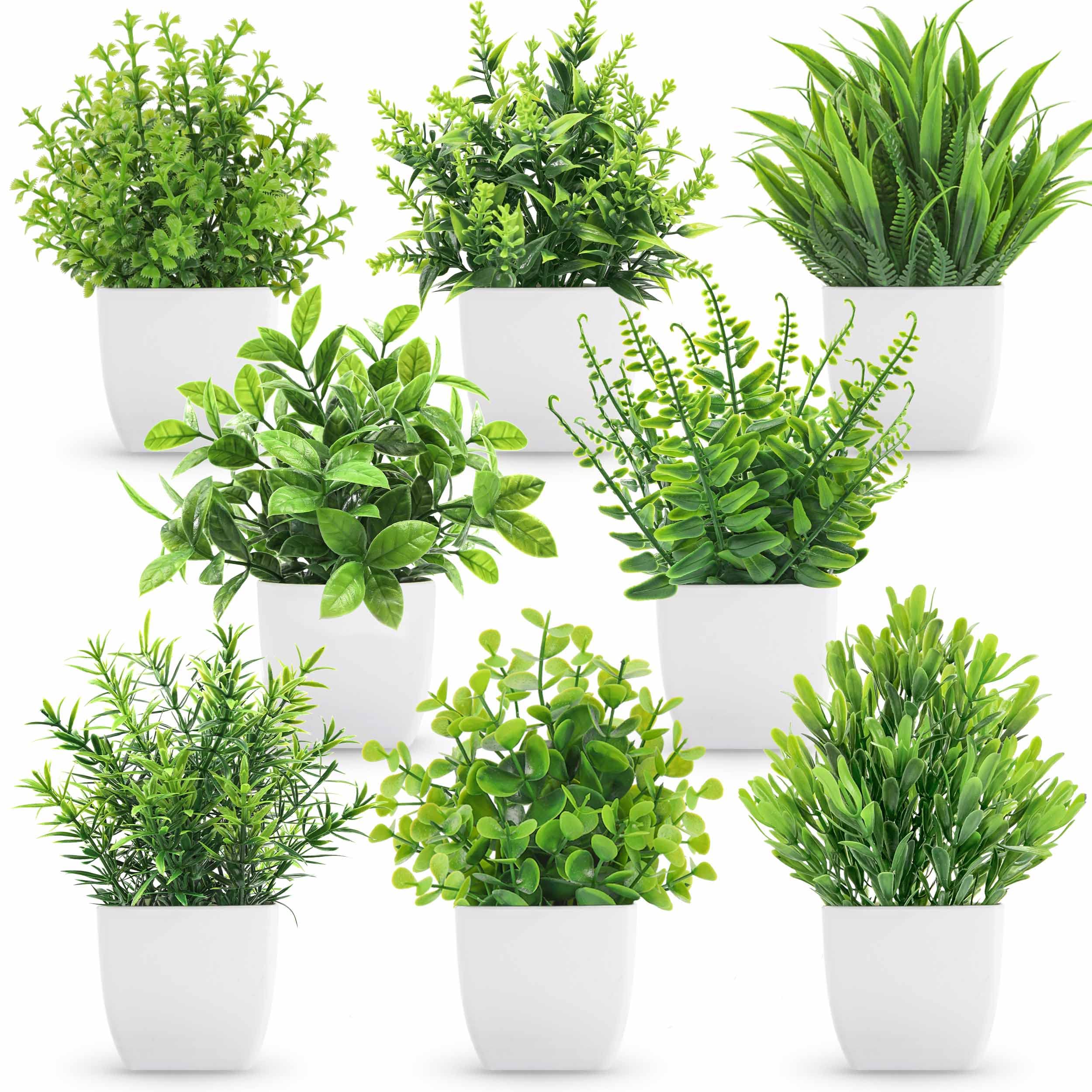 Der Rose 6 Pack Small Fake Plants Artificial Plants in Pots for Home Bthroom Bedroom Living Room Decor Indoor（White）