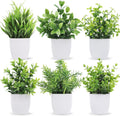 Der Rose 6 Pack Small Fake Plants Artificial Plants in Pots for Home Bthroom Bedroom Living Room Decor Indoor（White）