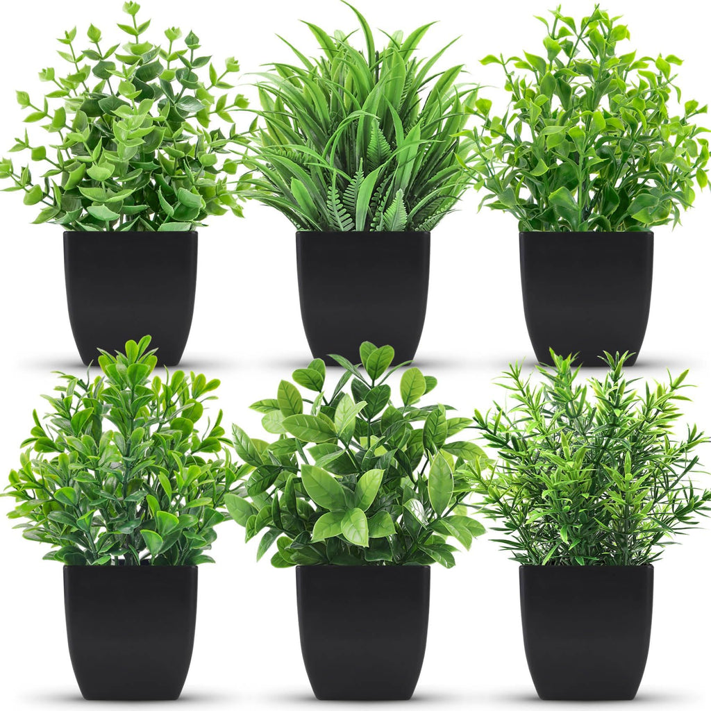 Der Rose 6 Pack Small Fake Plants Artificial Plants in Pots for Home Bthroom Bedroom Living Room Decor Indoor（White）